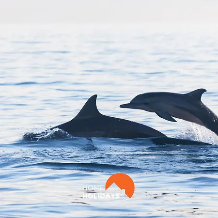 #096 Casa Antonieta 1 By Holidays Albufeira